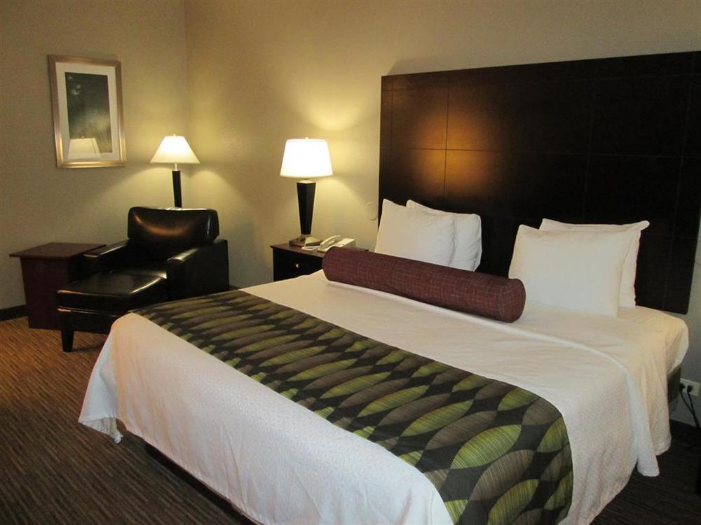 Best Western Plus O'Hare International South Hotel Franklin Park Habitación foto